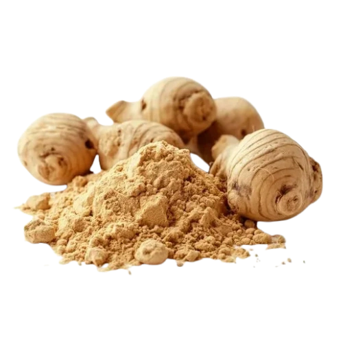 Maca-Wurzel
