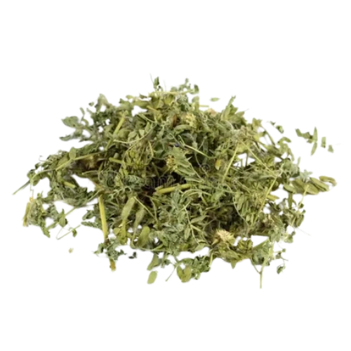 Tribulus Terrestris